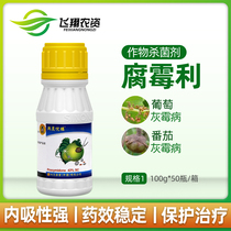 Taiwan Xingnong Yue buy 43% rotting vegetables cucumber tomato grape gray mold pesticide fungicide 100g