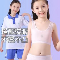 Teenage vest lingerie female primary school student Bathyme 12 12 old pure cotton junior high school 13 girl 15 bra