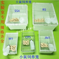 Mouse breeding cage Rat breeding cage box Lab rat cage Rat colony cage White rat breeding cage can be invoiced