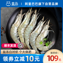 Box horse imported salt frozen white prawn 500g * 2 sea catch prawn base shrimp frozen seafood aquatic products Shunfeng