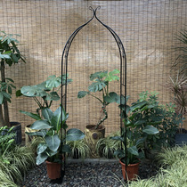 Iron grape frame steel tube clematis rose arch flower stand climbing vine shelf arch climbing plant bracket outdoor