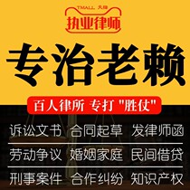 Legal Advice Lawyer Online Services Divorce Agreement Contract Substitute writes Indictment Pleading Labor Rights Arbitration Letter