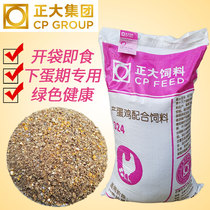 Right Big 324 Egg Chicken Feed Lower Egg Chicken Full Price stock Egg Grain Corn Grain Feeding Chicken feed CUHK 80 kilos