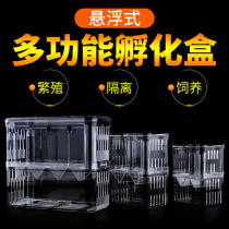 Acrylic fish tank isolation box King-size pneumatic spawning and hatching box Guppy breeding box Delivery room small fry