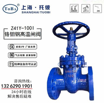 Z41Y-100I high temperature 550 chrome molybdenum steel flange gate valve steam gate valve DN80 100150200250