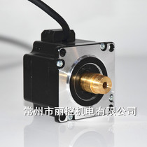 Spot 57 hollow shaft custom 23H2045-250-4BK support hollow motor customised LIKO MOTOR