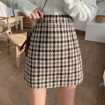 Thousands of bird gaggi 100 lap high waist half body dress lady autumn winter 2022 new A character short dress Korean version 100 hitch hip skirt child