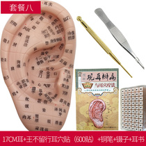 Ear points sticking Wang not leaving seeds auricular points pressing bean sticking ear sticking ear points bean acupoint model Wang Bu Xing seed paste