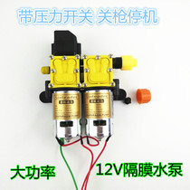 Taizhou Xinlida 12V dual-core power water pump agricultural electric sprayer double pump high pressure pull 100 meters to fight medicine