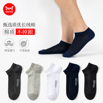 Cat Socks Mens Summer Anti-Steam Sweat Antibacterial Pure Chrome Cotton Socks Breakthrough Summer Thin Short Sheet