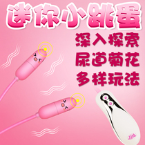 Female USB horse eye urethral stimulation Ultra-small mini jumping egg Male clitoral stimulation powerful vibration masturbator