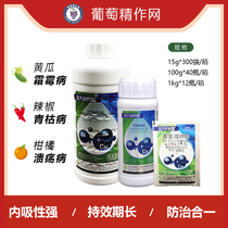 True Magnifying Glass Chunramycin Quinolinomycin Copper Citrus Canker Disease Bacterial Horticulum Pesticide Fungicide