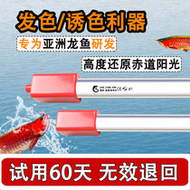 Magic pill dragon fish lamp 2700k baking color lamp T5 gold red dragon fish hair color lamp aquarium lamp ornamental fish waterproof lamp