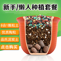 Nutritional Soil Cultivation Earth Universal Composition Suit Multimeat Orchid Ceramica Granulite Special Flower Fertilizer Soil