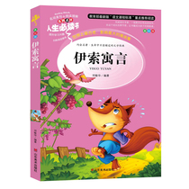 Isole Allegory Full Set of the Genuine Beauty Painting 1 23 45 6th grade elementary school junior high school students reading Happy reading books up and down books teenagers childrens literature books China story books XS