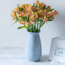 Narcissus lily flowers Yunnan Kunming flowers six flowers family flowers flower arrangements Shanghai City Flowers Express