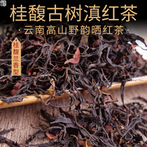 Gui Fulang fragrant ancient tree Yunnan black tea spring tea 2022 Tree age long fragrant high Jan water sweet sensation 500 gr