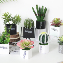 In Northern European Pot Black and White Ceramic Simulation Plant Pot Bottom Fake Meat Living Room Decorated Flower Household Small Family