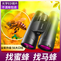 Looking for bees professional super ED binoculars high-definition Eski 56 outdoor Special Bee-hunting glasses