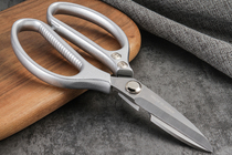 Japanese-made stainless steel scissors