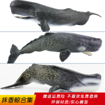 Simulation marine biology model large sperm whale toy whale solid underwater world childrens cognitive ornaments