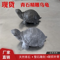 Stone carving Blue Stone Turtle Town House evil small stone turtle feng shui building stone turtle crafts ornaments home decoration