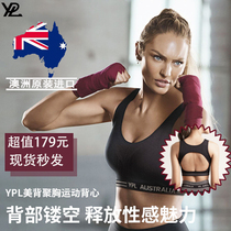 Spot Australian YPL sports underwear without steel ring vest style back bra wear breathable gathering