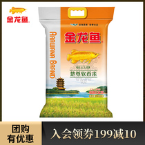 Golden Dragon Fish Original Fragrant Rice Quality South Rice 5 Catty Tsuzun Soft Fragrant Rice 2 5KG Home Small Bagged Welfare Group Purchase
