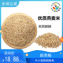  Oatmeal bird food Oat kernel tiger skin Xuanfeng peony parrot food Oatmeal rice hulled bird food feed two kg