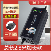 Long electric car battery charger 48v12ah60v20ah72v30ah Emma Yadi three-wheel Universal