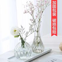 Transparent glass bottle hydroponic plant container green flower small vase dried flower arrangement living room ornaments decorative flower pot
