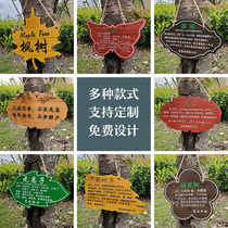 Wooden flower and grass brand Tree Tree brand custom real decoration listing hanging billboard custom plant identification board