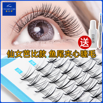 Ciliary girl Scarecrow false eyelashes womens single cluster natural sandwich hair net red fairy hair eyelashes single root