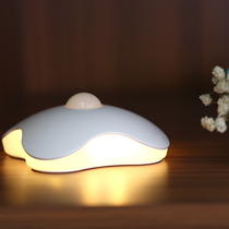 Four leaf straw human induction lamp led voice-controlled bedroom gangway bed headlights intelligent energy saving light control mini night light
