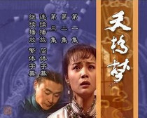 Support DVD Tianqiao Dream Tianjiao Ji Min Shan Mushroom Ping Wang Ji 30 episodes 4 discs