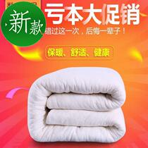 Electric car cushion back cotton wool cotton pad quilt 1 meter 2 1 meter 5 1i meter 8 mattress bed bunk futon z 