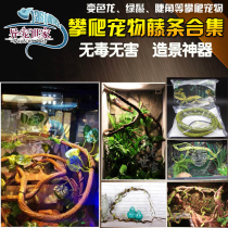 Chameleon feeding box reptile box hermit crab climbing landscape tree Vine jungle rainforest tank climbing box Rattan