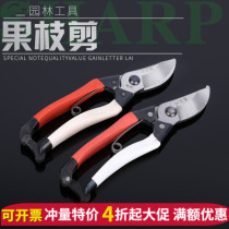 Red plum fruit branch shears pruning scissors card paper packaging SK-5 potted branches and leaves scissors