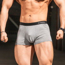 Muscle Beliefs Sports Briefs Men Cotton Briefs about 100 Lap Minimalist men Breathable Lightweight high-bounty four-corner underpants