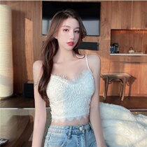 Cambus vest female interior design feel wrapped chest outside wear lace sexy base shirt short beauty back bra top tide