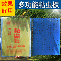 Glue bifacial durable good quality stick insect plate yellow plate tea farmer flower slime plate green and waterproof and insect repellent version