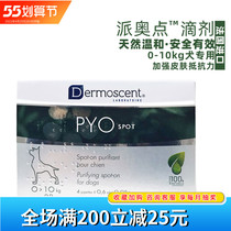 French Demeise sent Ordot dog with reduced dog skin problems Peculiar Dermatitis fungus Plagued Mites Abscess