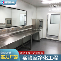 Laboratory purification engineering color steel plate partition wall ceiling dust-free workshop Electronic food factory operating room decoration design