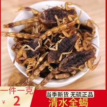 Yimeng Qingshui whole scorpion 2 yuan a gram 100 grams of whole insect full dry clamp scorpion scorpion leech centipede dry