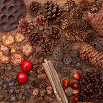 Pine Cones oaks fruit trees leaves retro ancient style forest series photo shooting photo shooting props background decoration ornaments jewelry