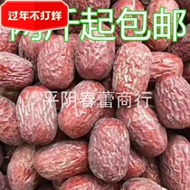 Xinjiang specialty jujube authentic Xinjiang Ruoqiang county red jujube 500g original ecological Ruoqiang jujube ash jujube
