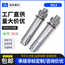 304 Stainless Steel Elevator Expansion Screw Blast Screws High Powerful Heavy Expansion Bolt M12 * 100