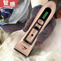 Pet Shaver large dog dog hair clipper electric clipper electric Fender professional cat shaving machine