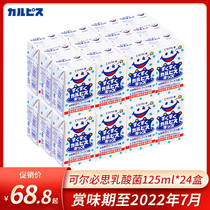 Japan imports Calpis Elpiz children lactic acid bacteria Baby probiotic yoghurt drink 125ml * 24 boxes