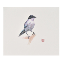 Di Yaozong bird hand-painted paper sketch living room decorative painting collection